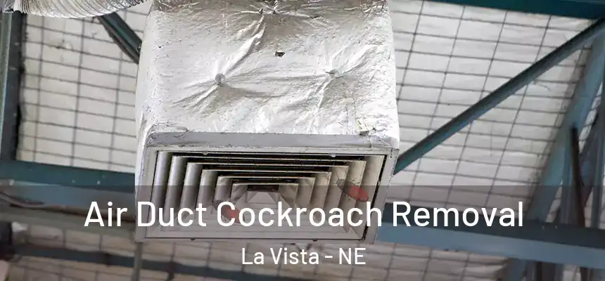 Air Duct Cockroach Removal La Vista - NE