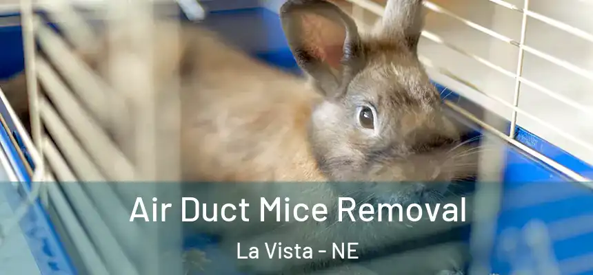 Air Duct Mice Removal La Vista - NE