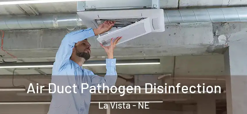 Air Duct Pathogen Disinfection La Vista - NE