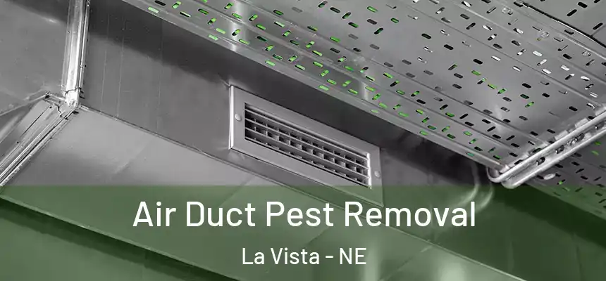  Air Duct Pest Removal La Vista - NE