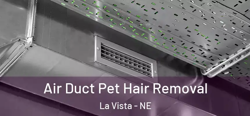  Air Duct Pet Hair Removal La Vista - NE
