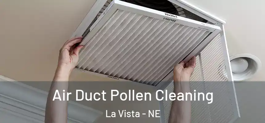 Air Duct Pollen Cleaning La Vista - NE