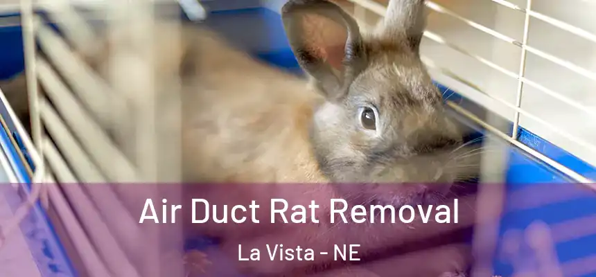 Air Duct Rat Removal La Vista - NE