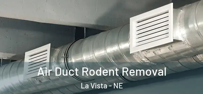 Air Duct Rodent Removal La Vista - NE