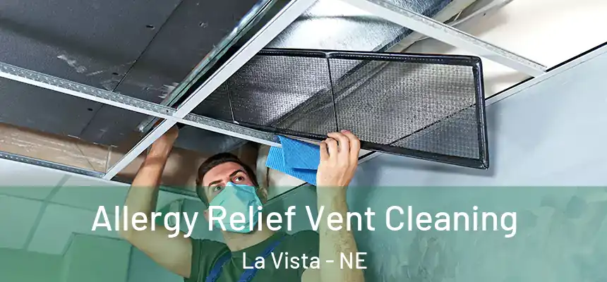 Allergy Relief Vent Cleaning La Vista - NE