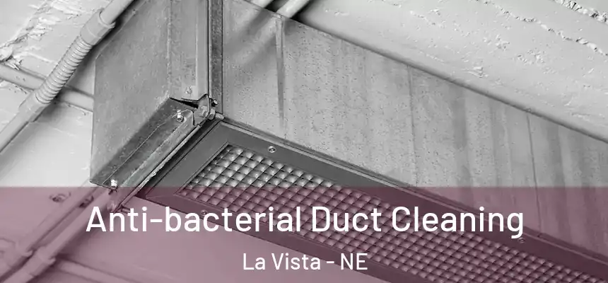 Anti-bacterial Duct Cleaning La Vista - NE