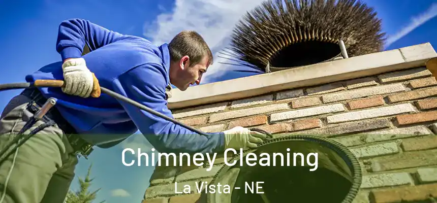Chimney Cleaning La Vista - NE