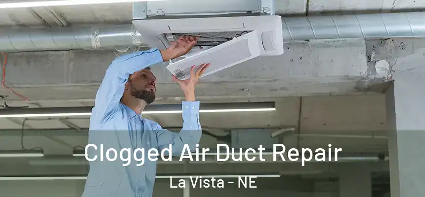 Clogged Air Duct Repair La Vista - NE