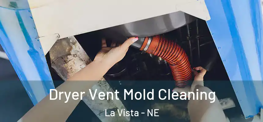  Dryer Vent Mold Cleaning La Vista - NE