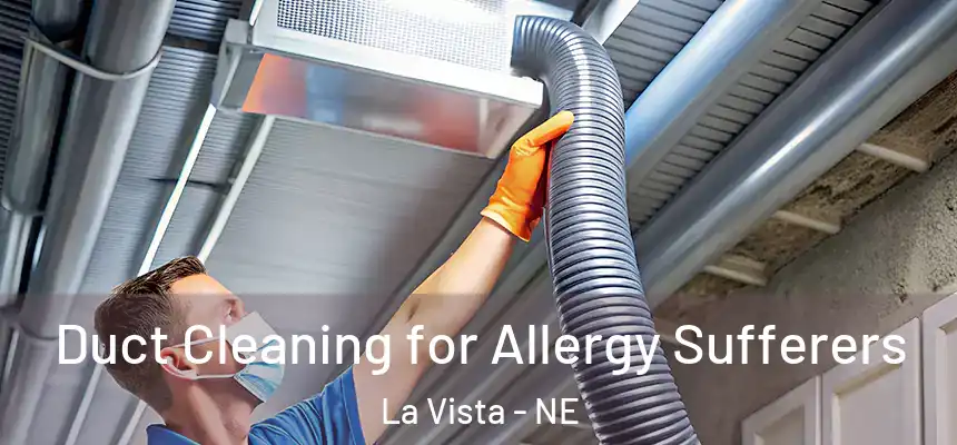 Duct Cleaning for Allergy Sufferers La Vista - NE