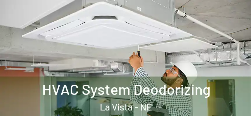 HVAC System Deodorizing La Vista - NE