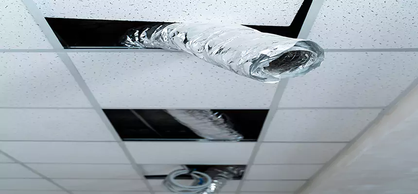 Our Air Duct Pet Hair Removal Services in La Vista, NE