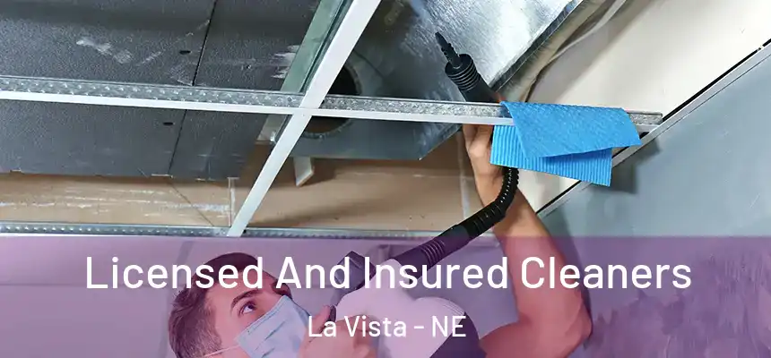 Licensed And Insured Cleaners La Vista - NE