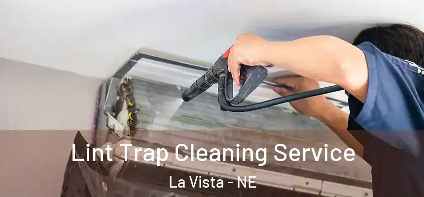 Lint Trap Cleaning Service La Vista - NE