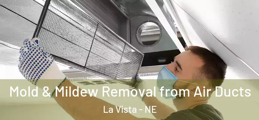 Mold & Mildew Removal from Air Ducts La Vista - NE
