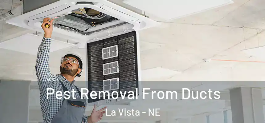 Pest Removal From Ducts La Vista - NE