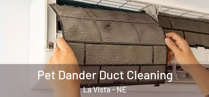 Pet Dander Duct Cleaning La Vista - NE