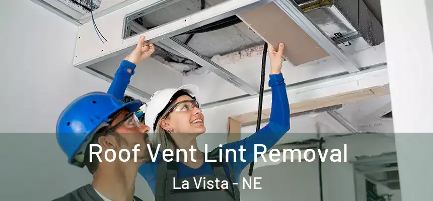 Roof Vent Lint Removal La Vista - NE