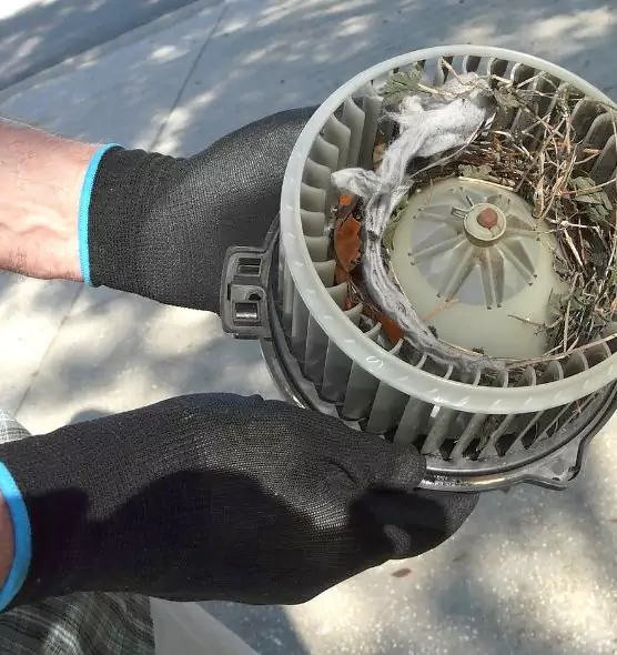 About Air Duct Mice Removal in La Vista, NE