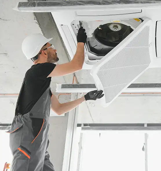 About Air Duct Rodent Removal in La Vista, NE