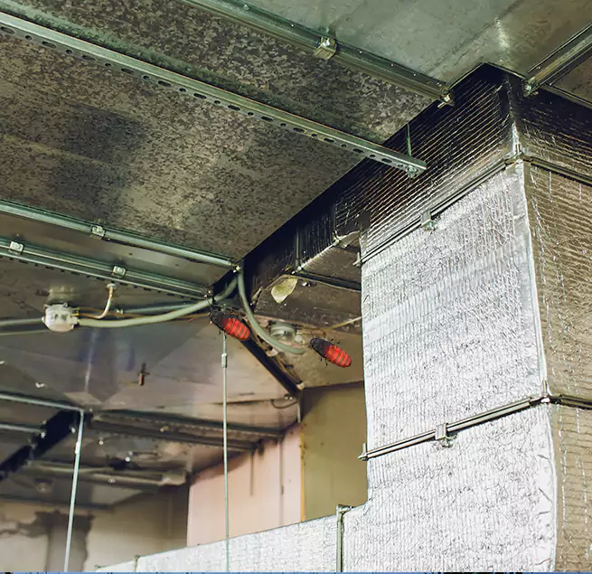 Why Homeowners & Businesses Trust Us in La Vista, NE?