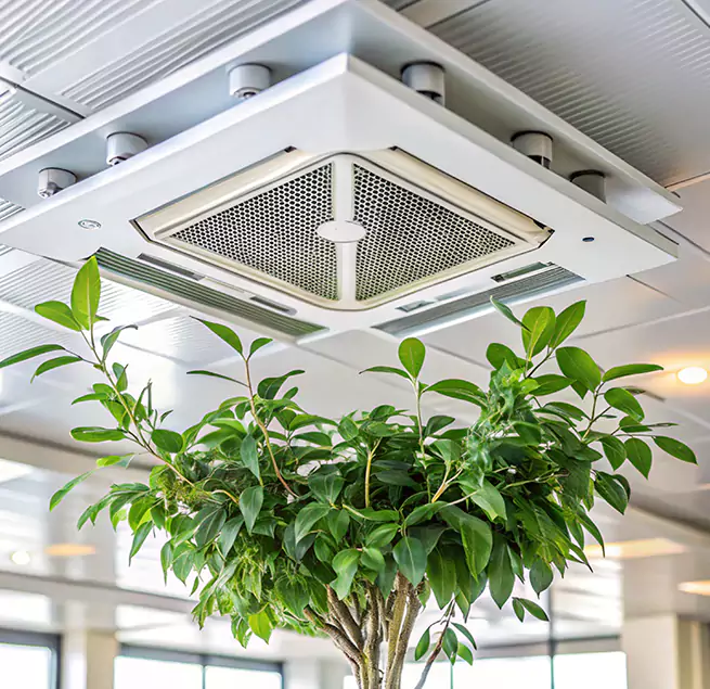 Why Homeowners & Businesses Trust Us in La Vista, NE?